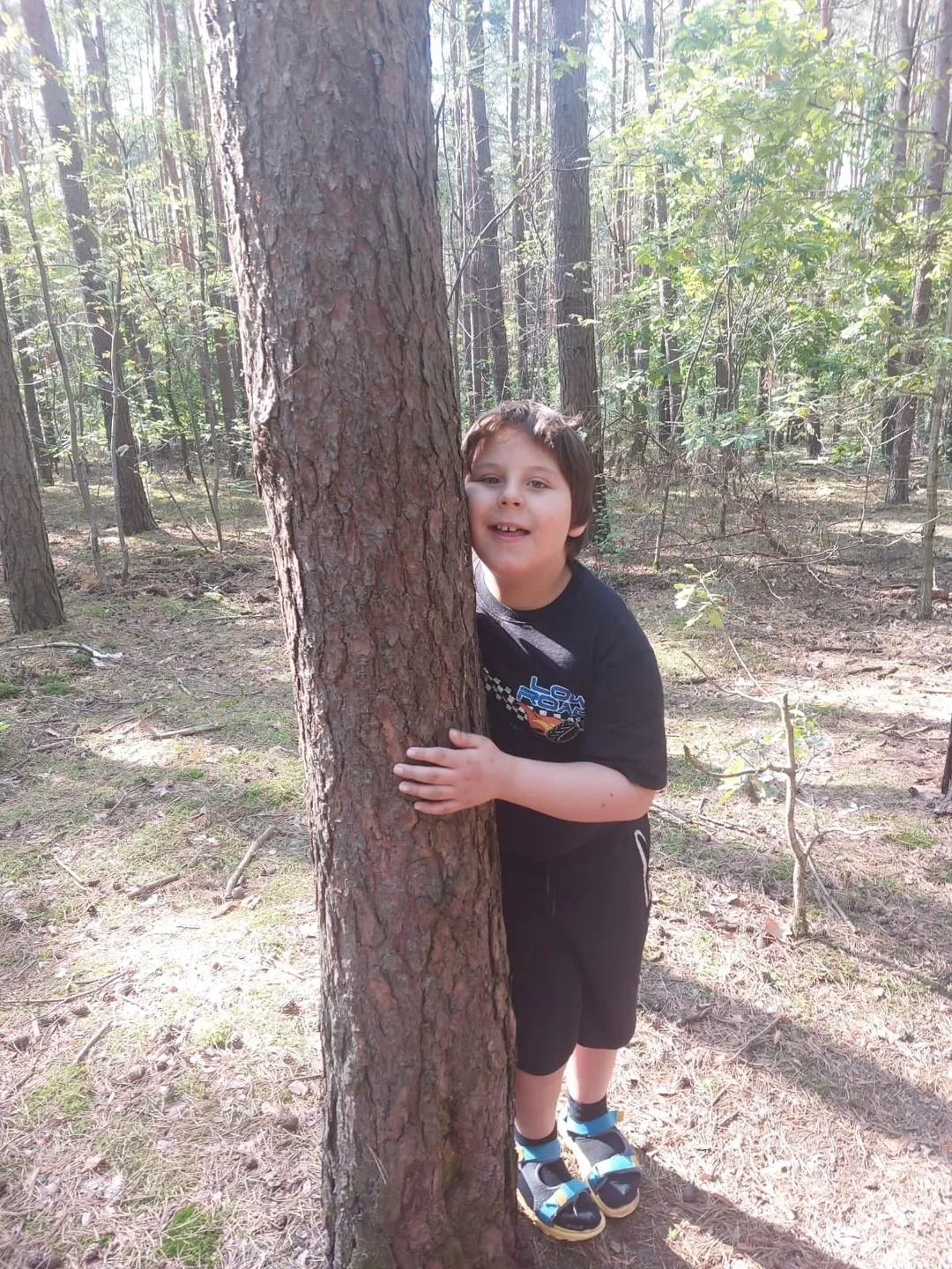 Przytul się do drzewa