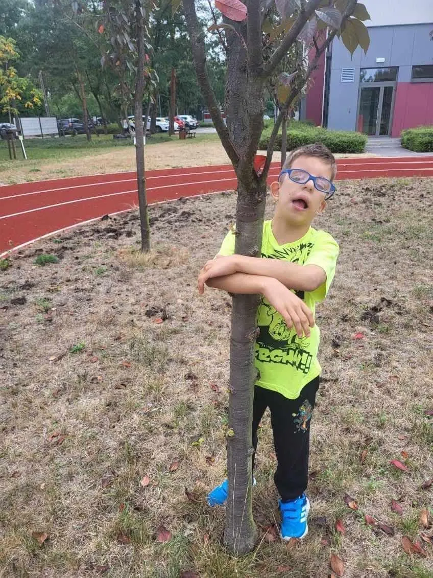 Przytul się do drzewa