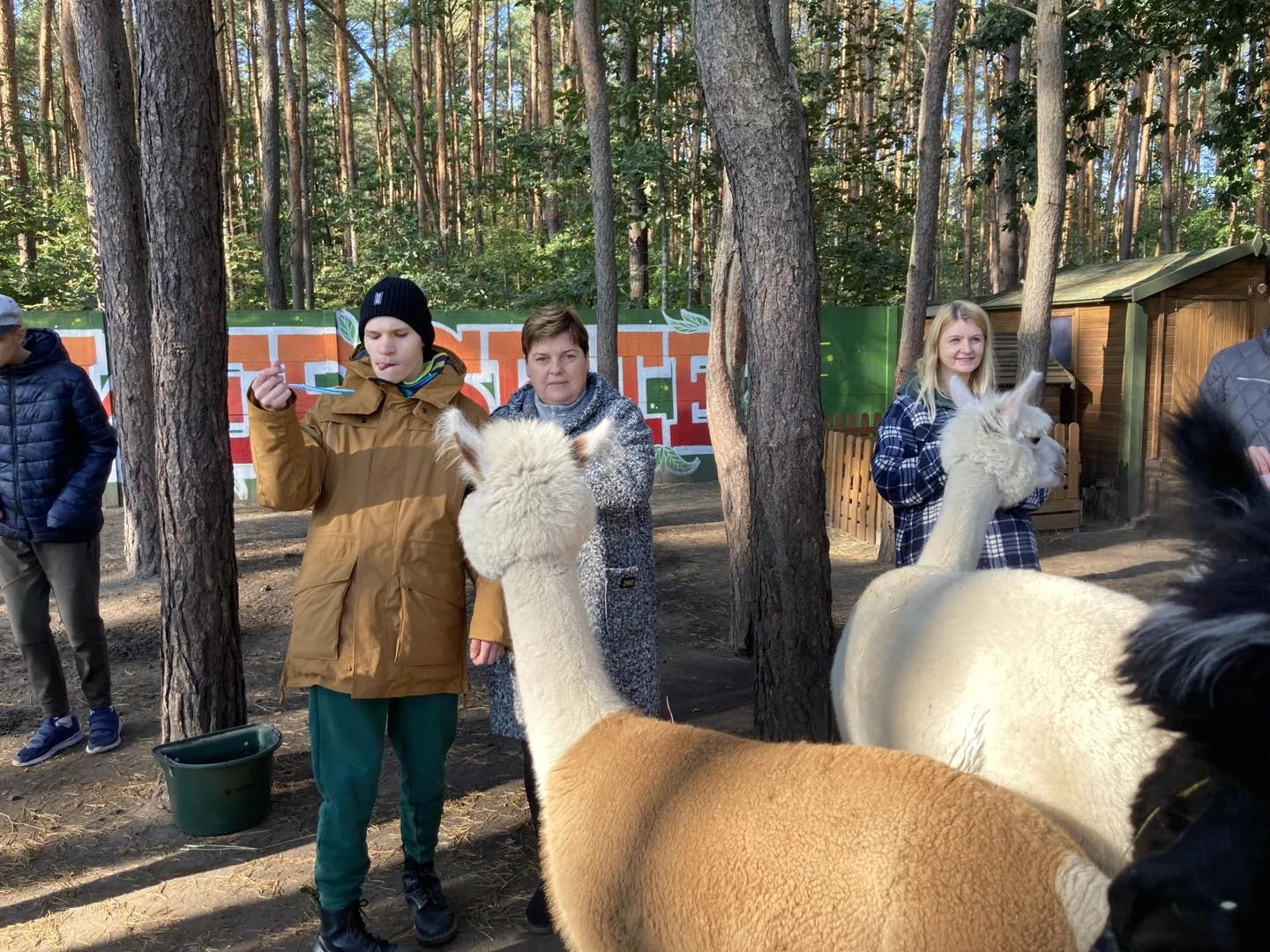 Spotkanie z alpakami