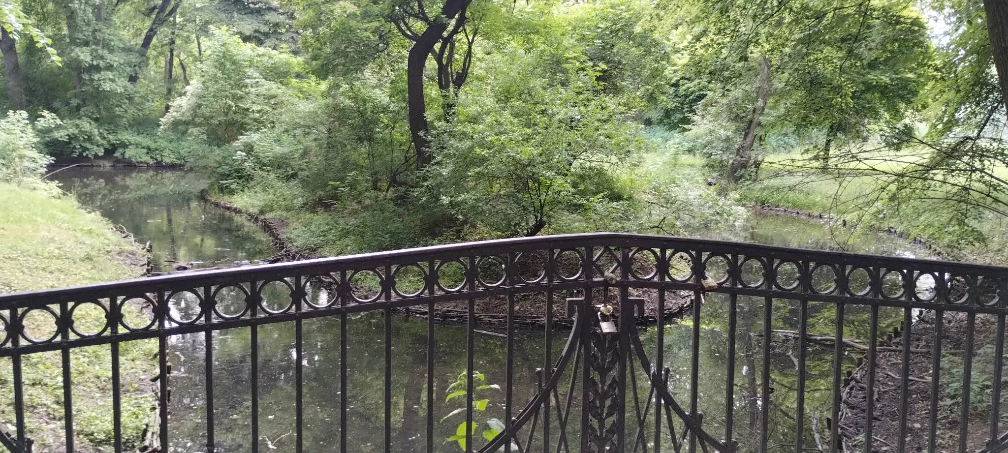 Zielona Niedziela w Parku Skaryszewskim