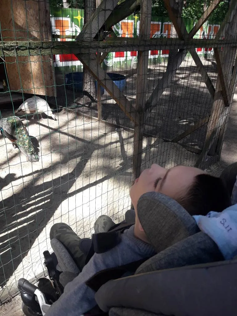 LATO W MIEŚCIE “ŚWIAT NATURĄ MALOWANY” – II DZIEŃ