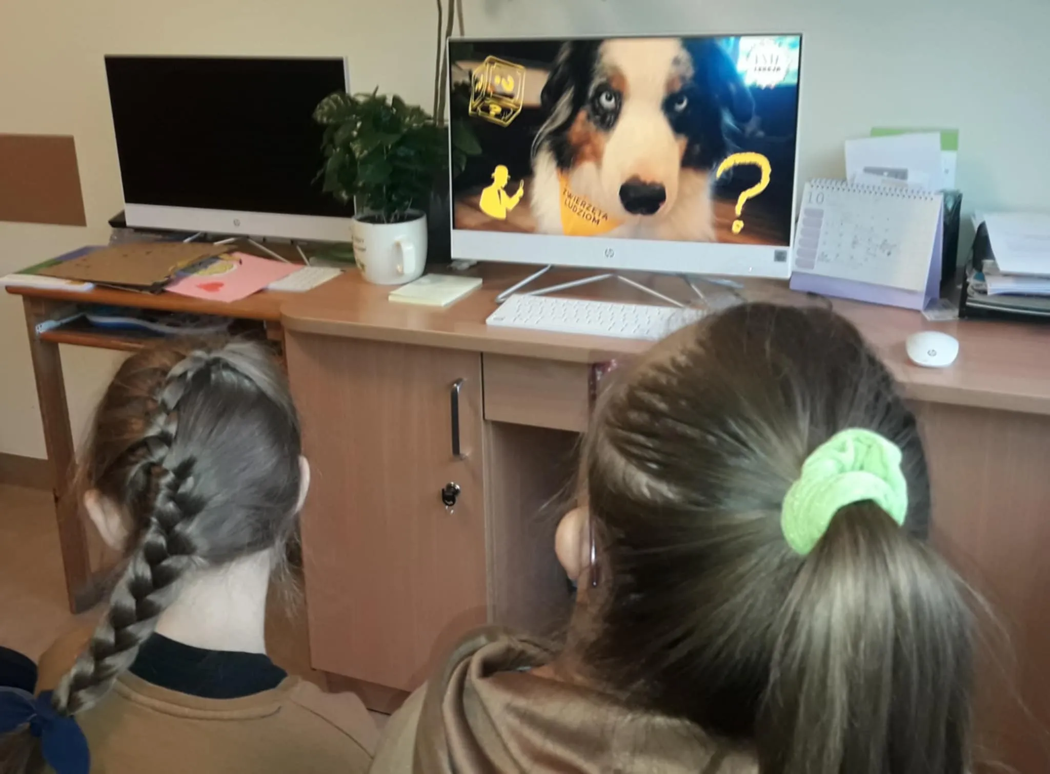 Ogólnopolski program “Psia lekcja”