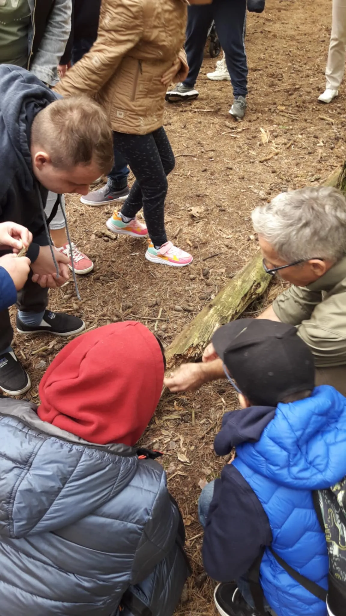 Światowy Dzień Drzewa