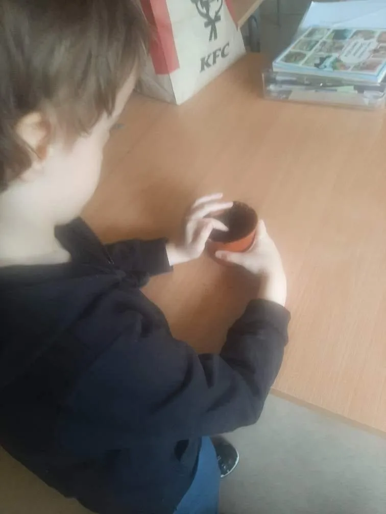 Popcorn prosto z ogródka