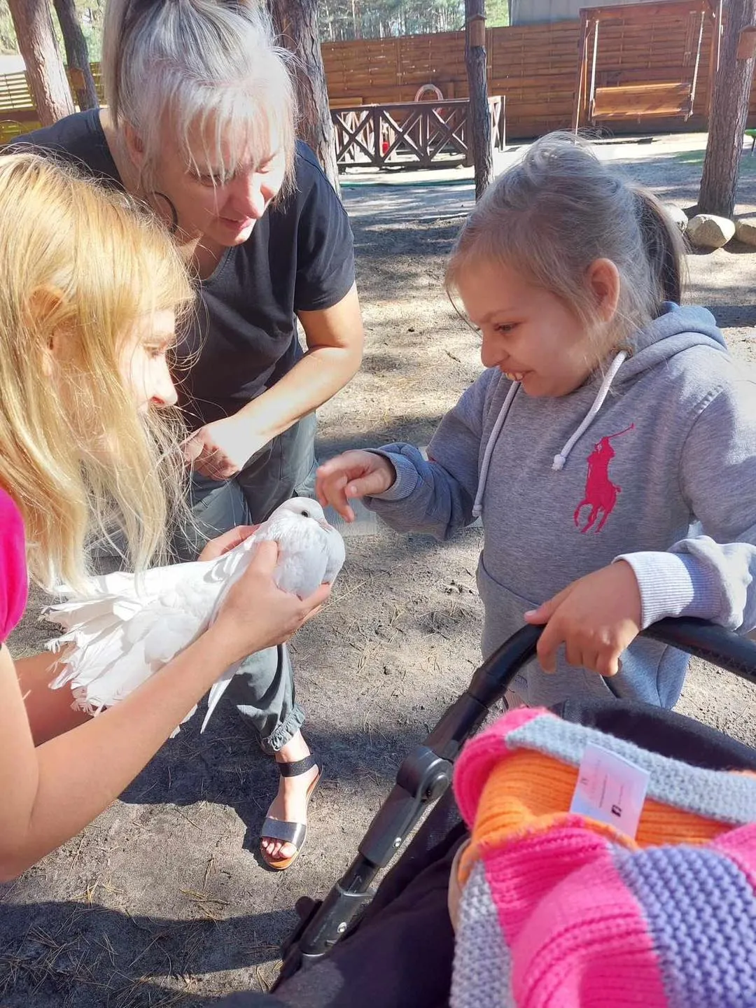 Spotkanie z alpakami