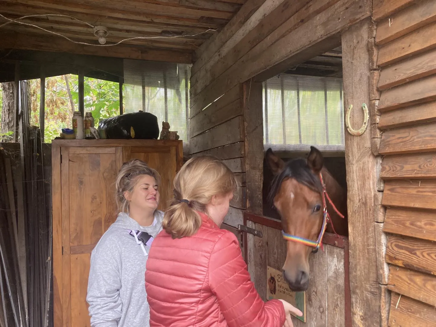 Wizyta w stajni Jackowo