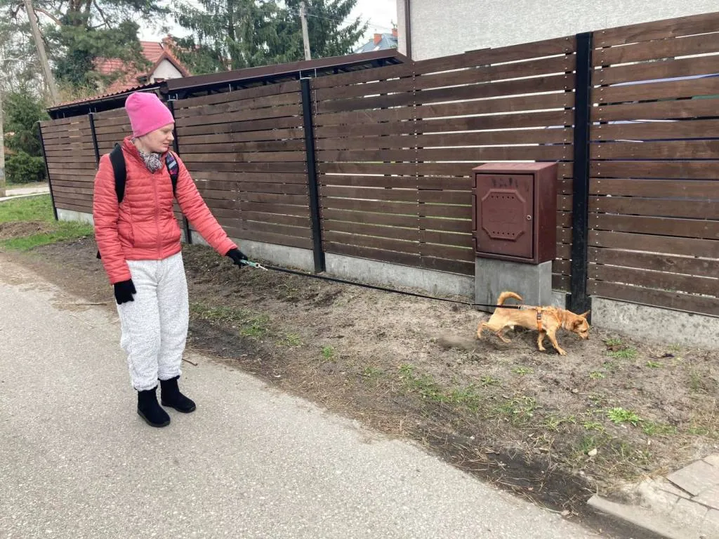 Nasze relacje ze zwierzętami