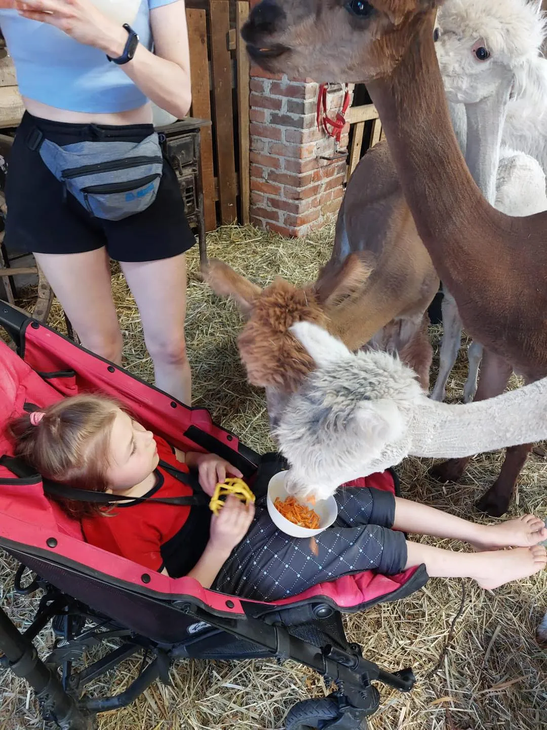 Wycieczka na Lubelszczyznę