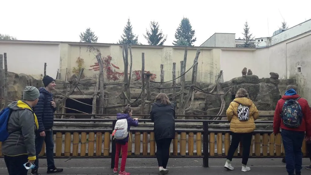 Wizyta w ogrodzie zoologicznym