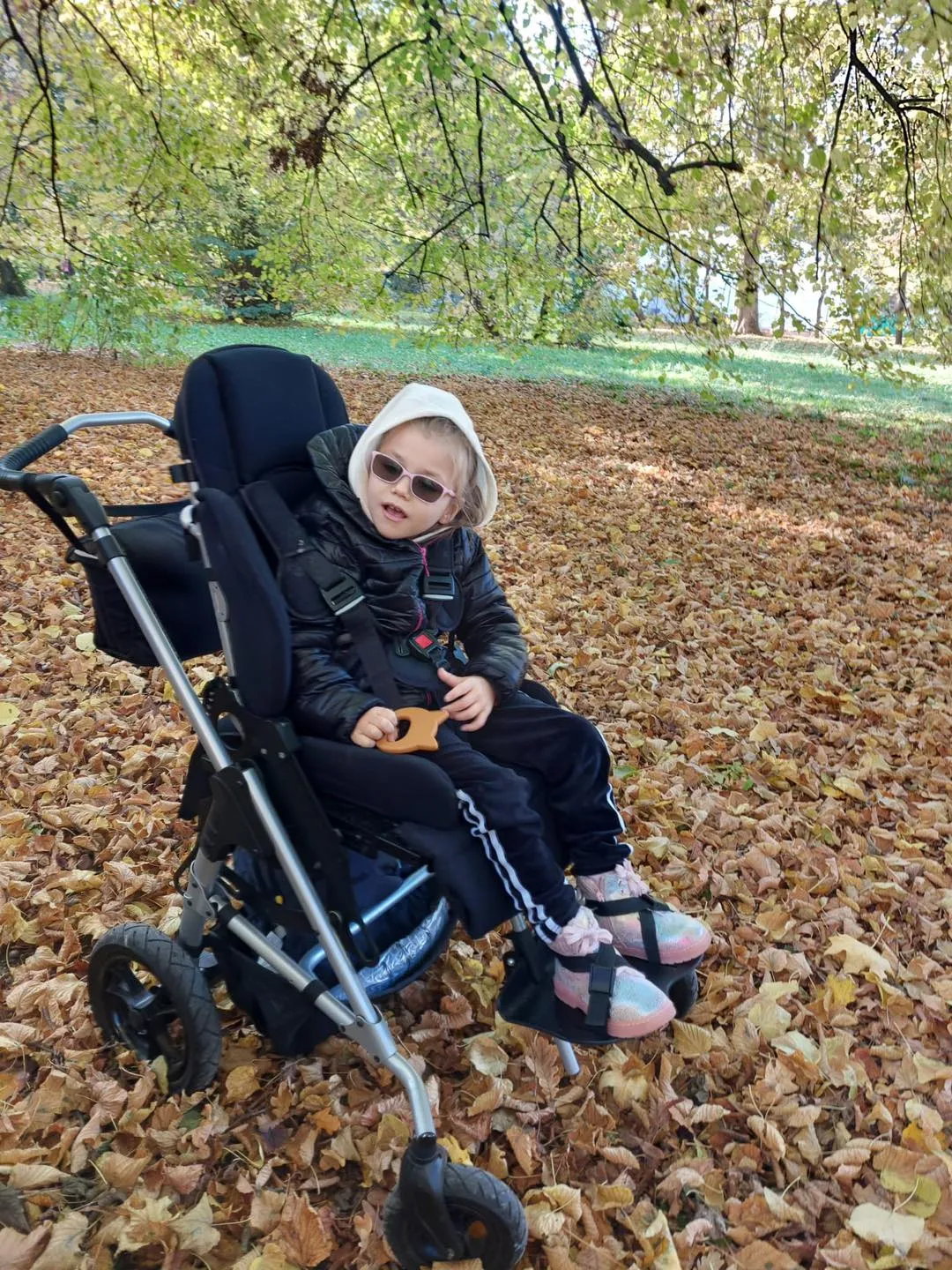 Polska Złota Jasień w Parku Skaryszewskim