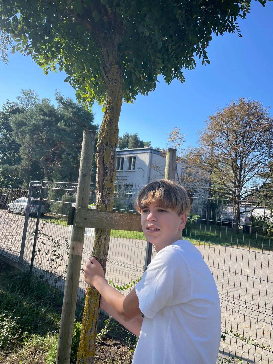 Przytul się do drzewa