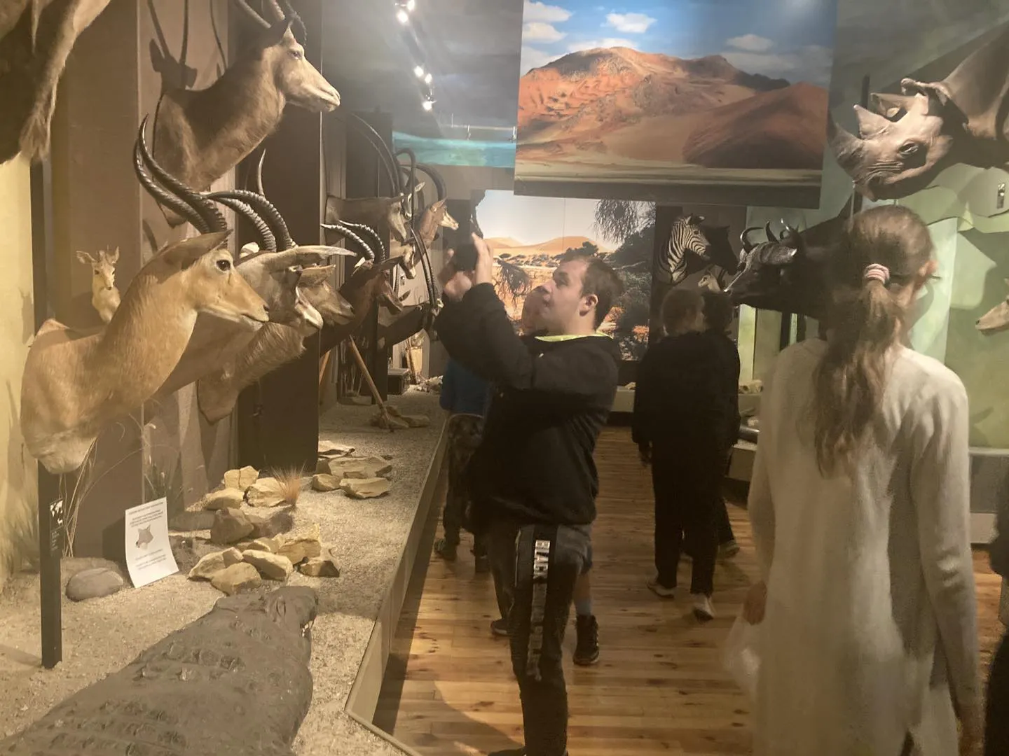 Lekcja “Przygoda z Grzybami”