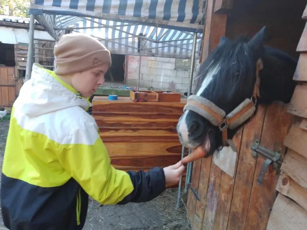 Wycieczka do stajni