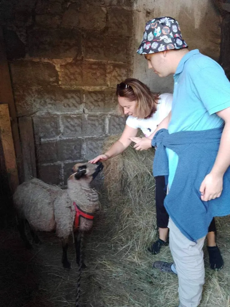 Wizyta w stajni i warsztaty plastyczne