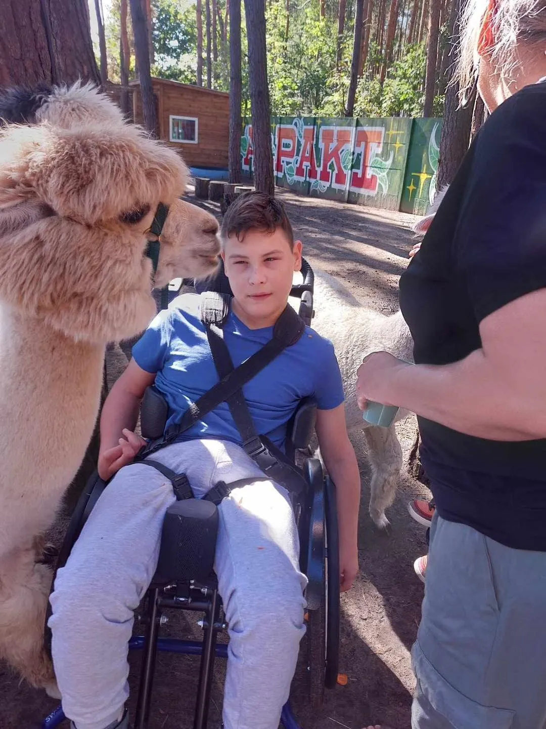 Spotkanie z alpakami