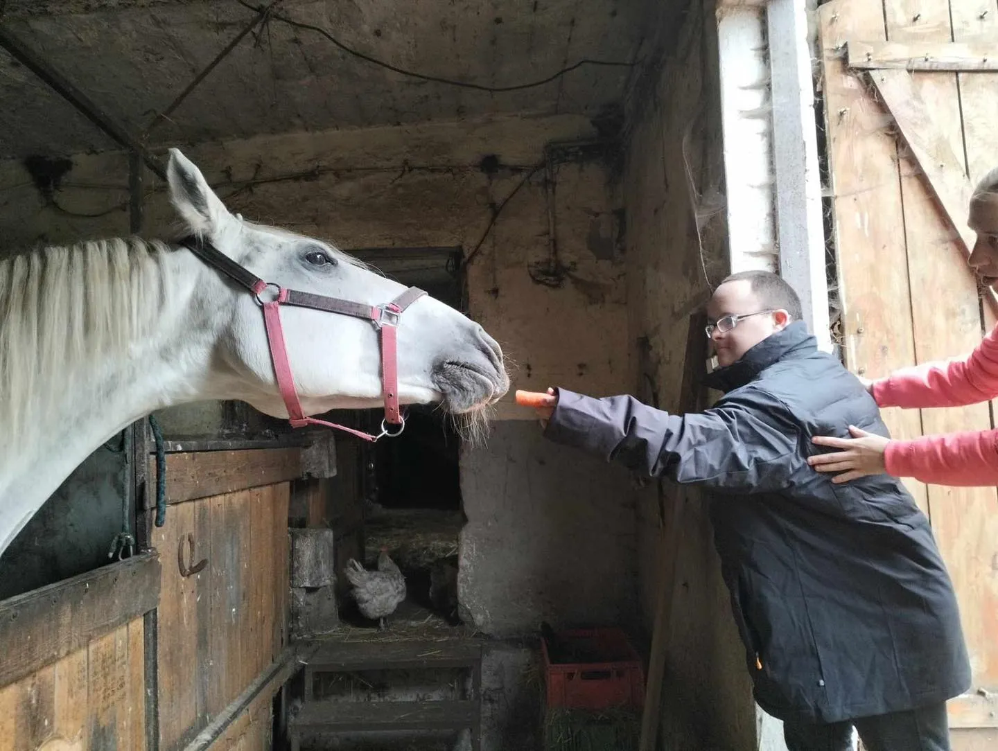 Wizyta w stajni Jackowo