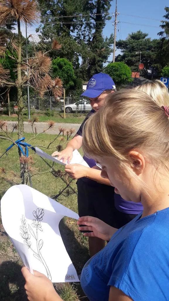 LATO W MIEŚCIE II – I DZIEŃ