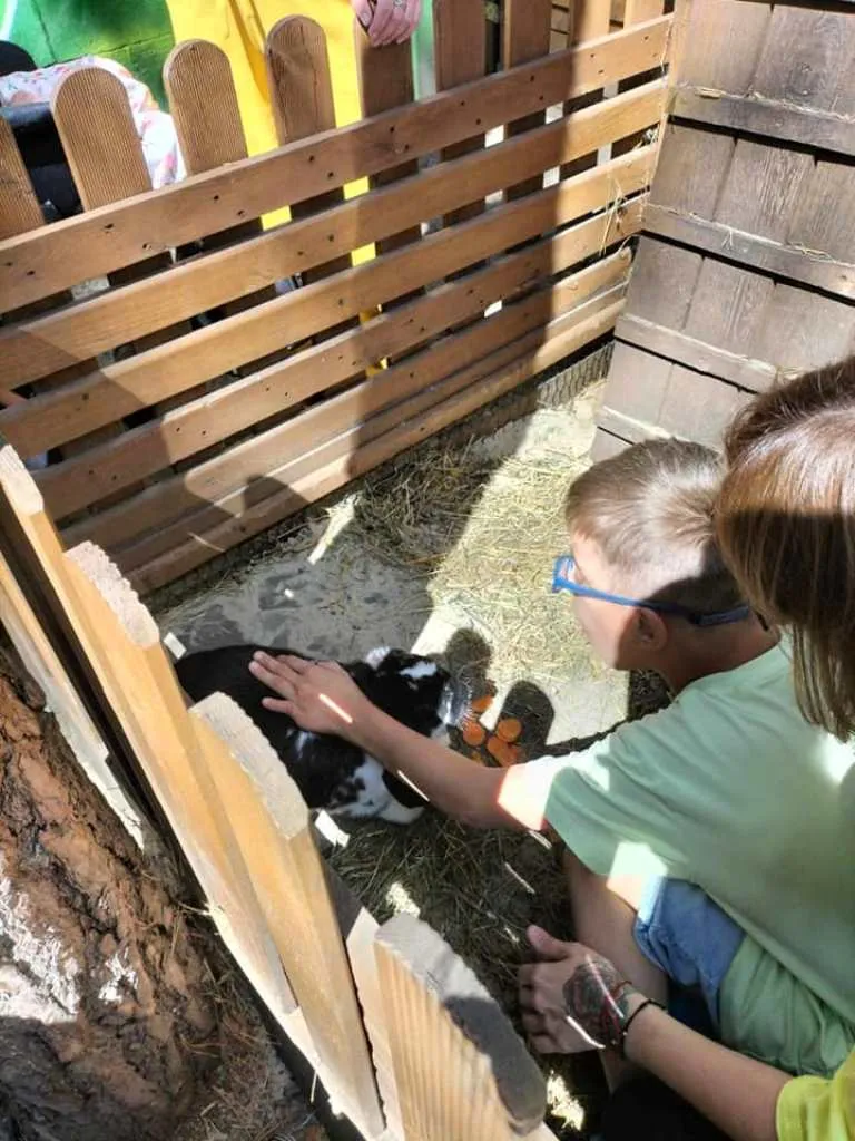 LATO W MIEŚCIE “ŚWIAT NATURĄ MALOWANY” – II DZIEŃ