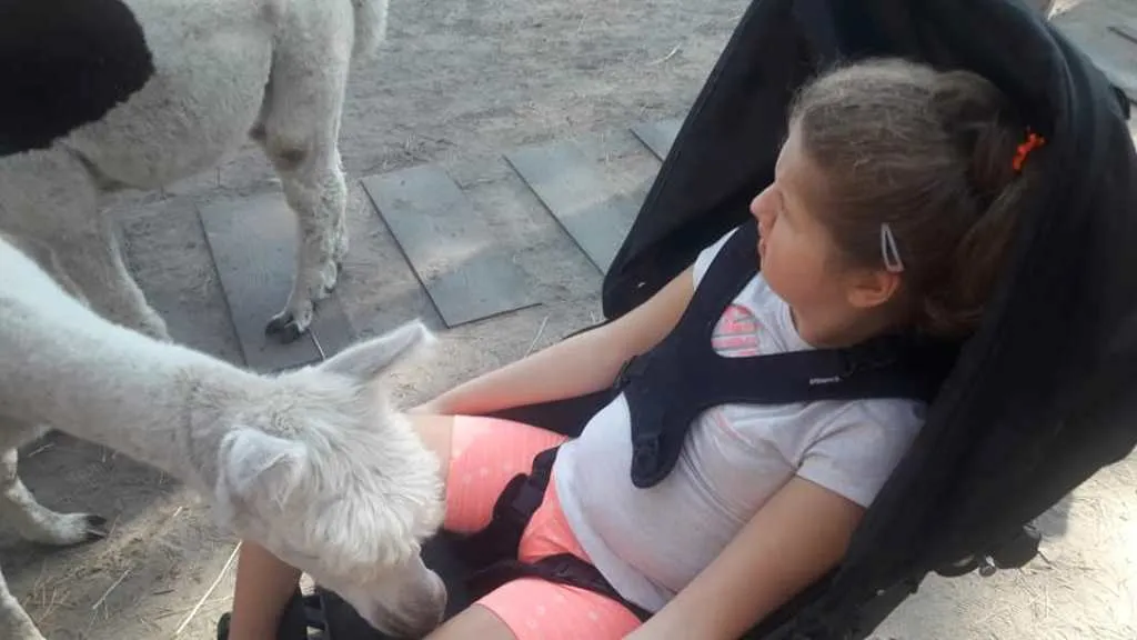 LATO W MIEŚCIE II – III DZIEŃ