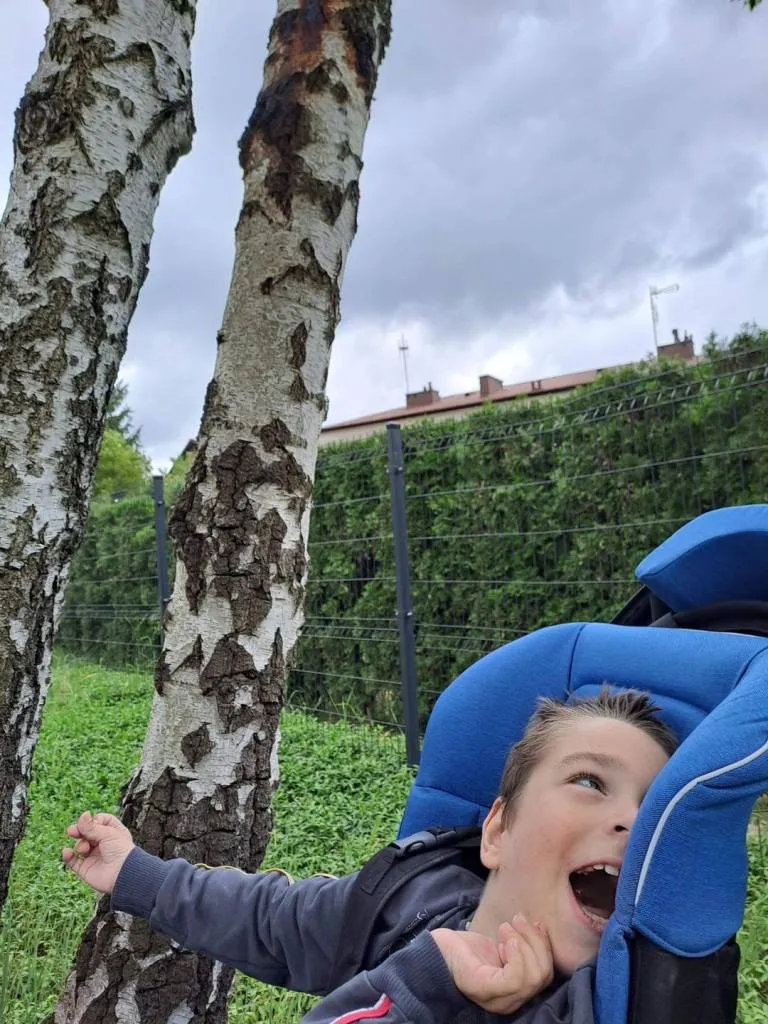 Akcja “Przytul się do drzewa” – kontynuacja