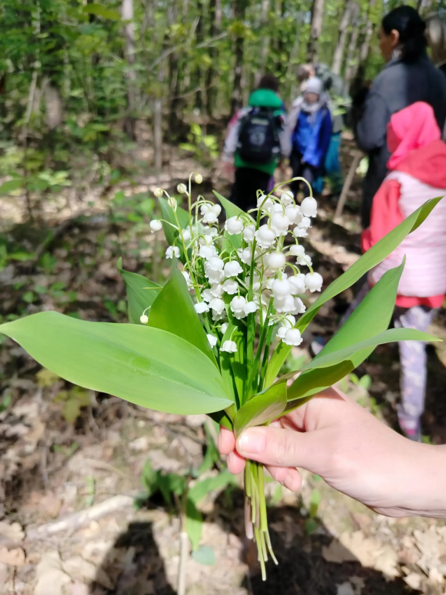 Spotkanie z panem leśniczym