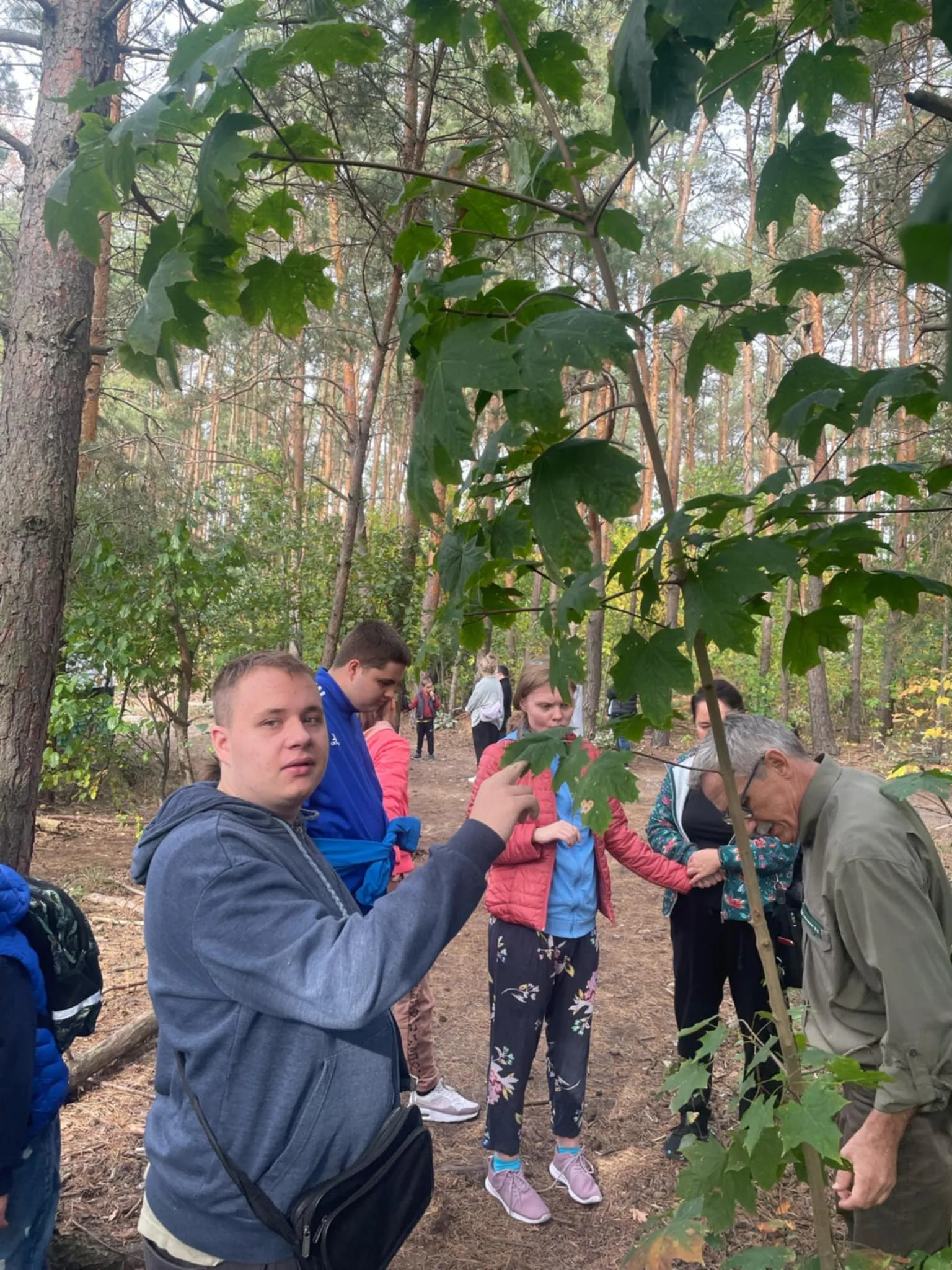 Światowy Dzień Drzewa