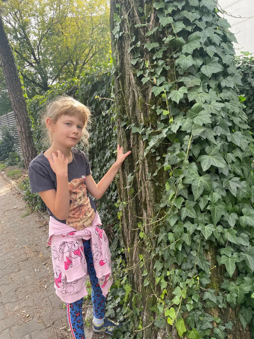 Przytul się do drzewa