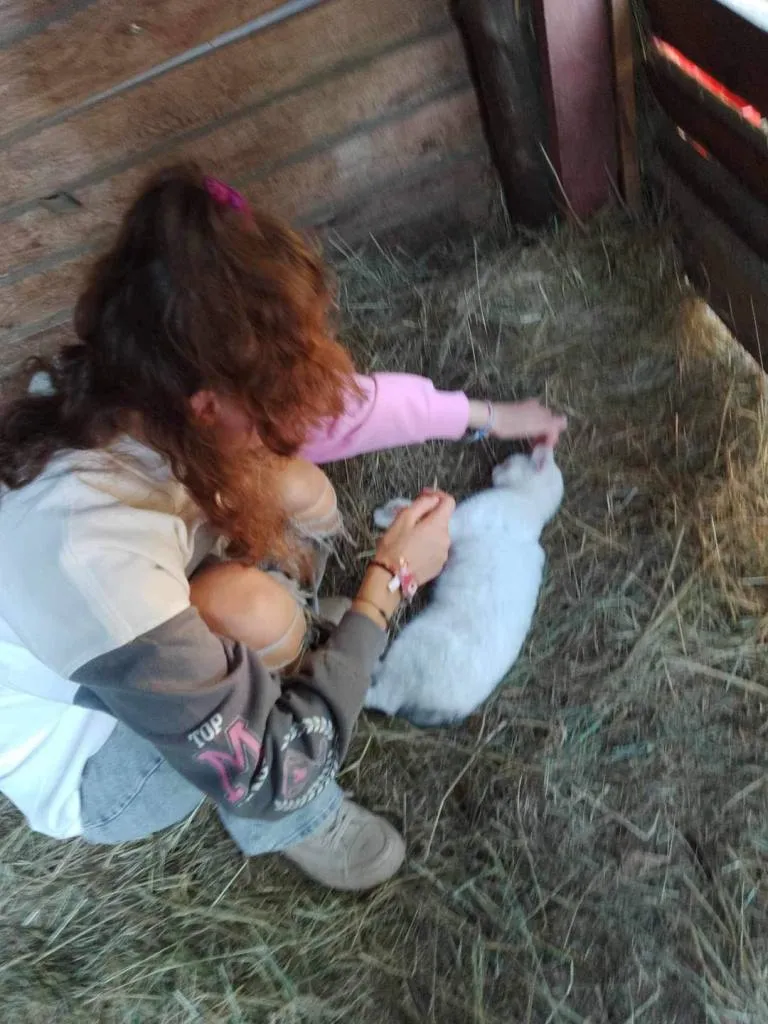 Wizyta w stajni i warsztaty plastyczne