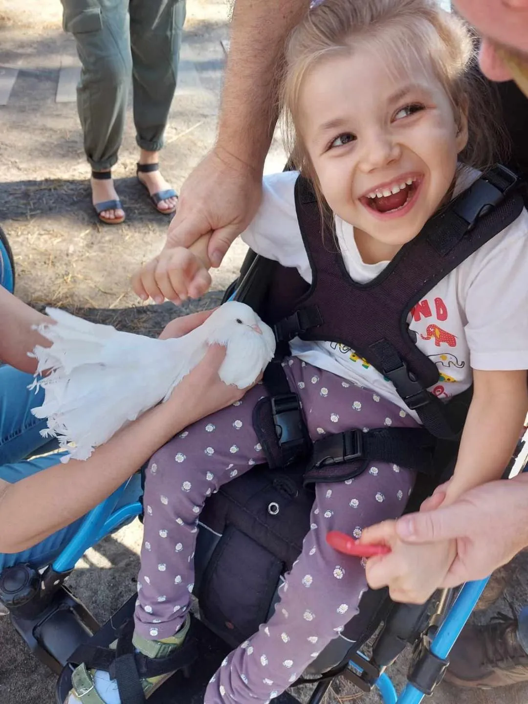 Spotkanie z alpakami