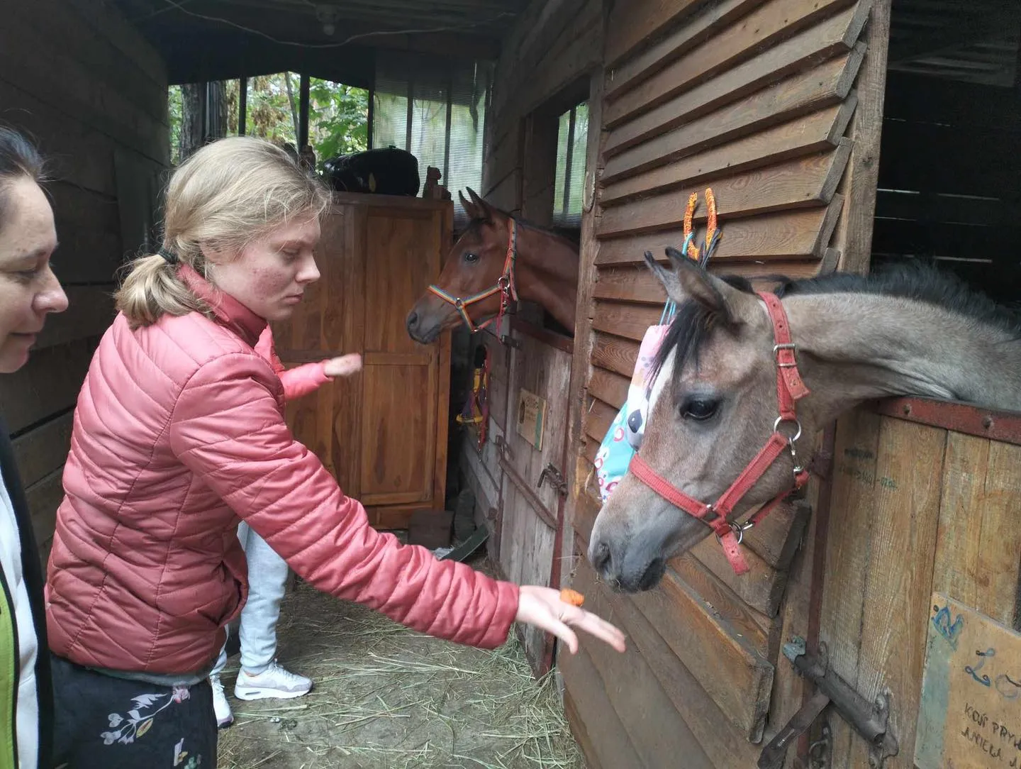 Wizyta w stajni Jackowo