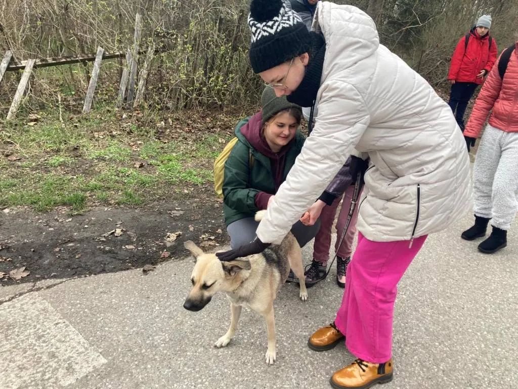 Nasze relacje ze zwierzętami