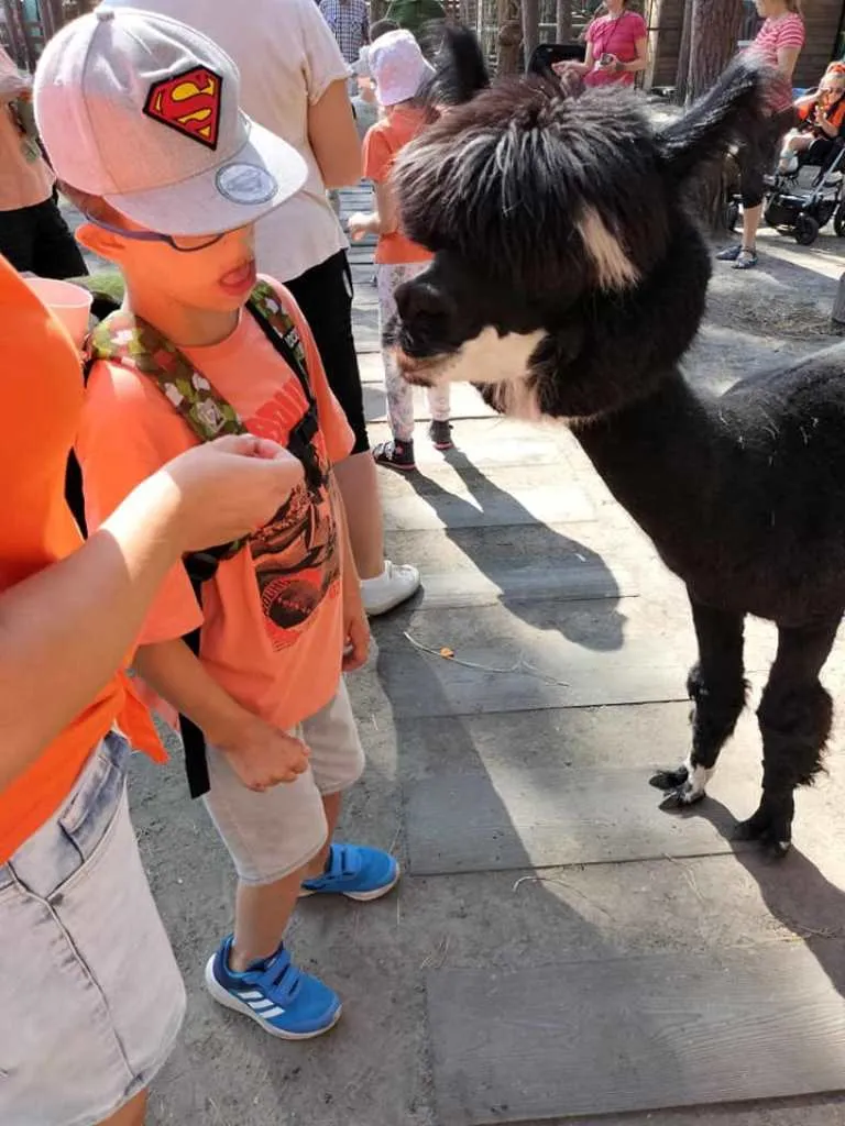 LATO W MIEŚCIE II – III DZIEŃ