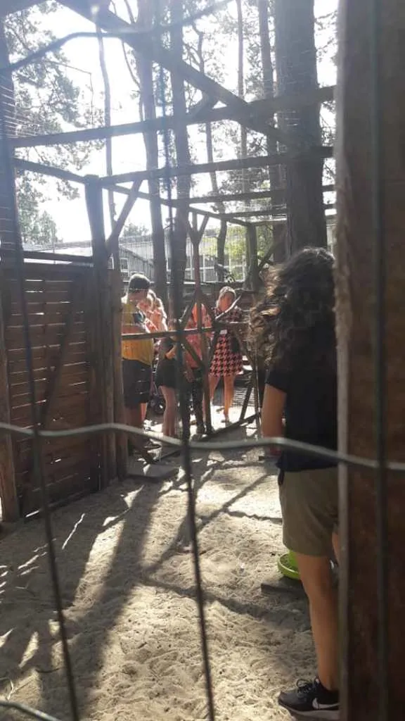 LATO W MIEŚCIE II – III DZIEŃ