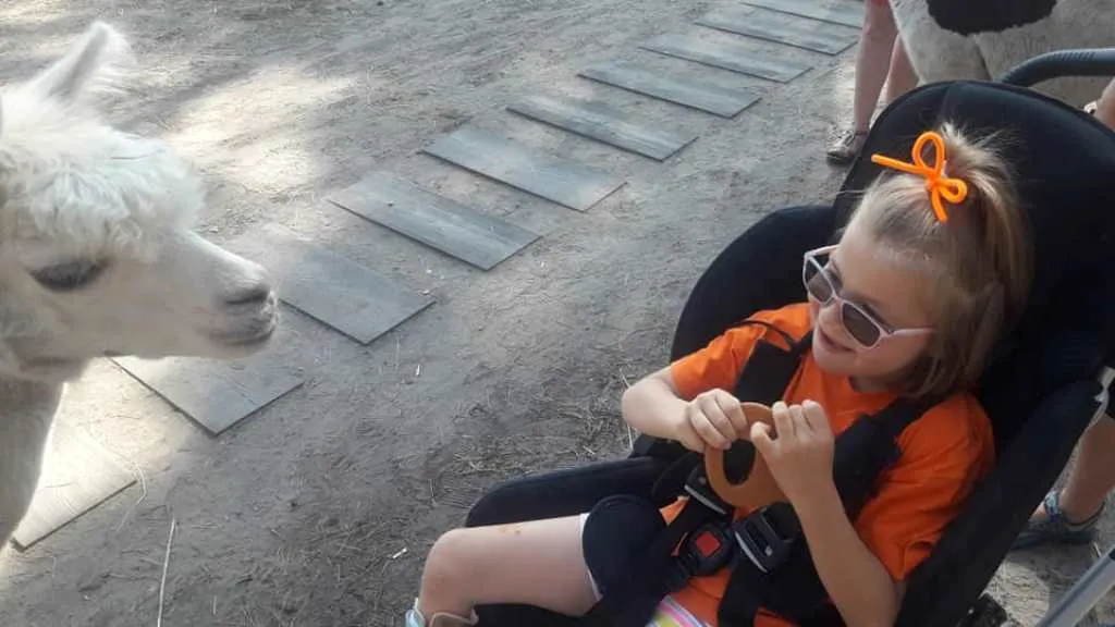 LATO W MIEŚCIE II – III DZIEŃ