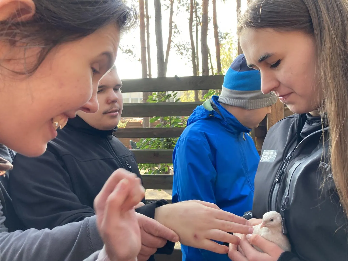 Spotkanie z alpakami