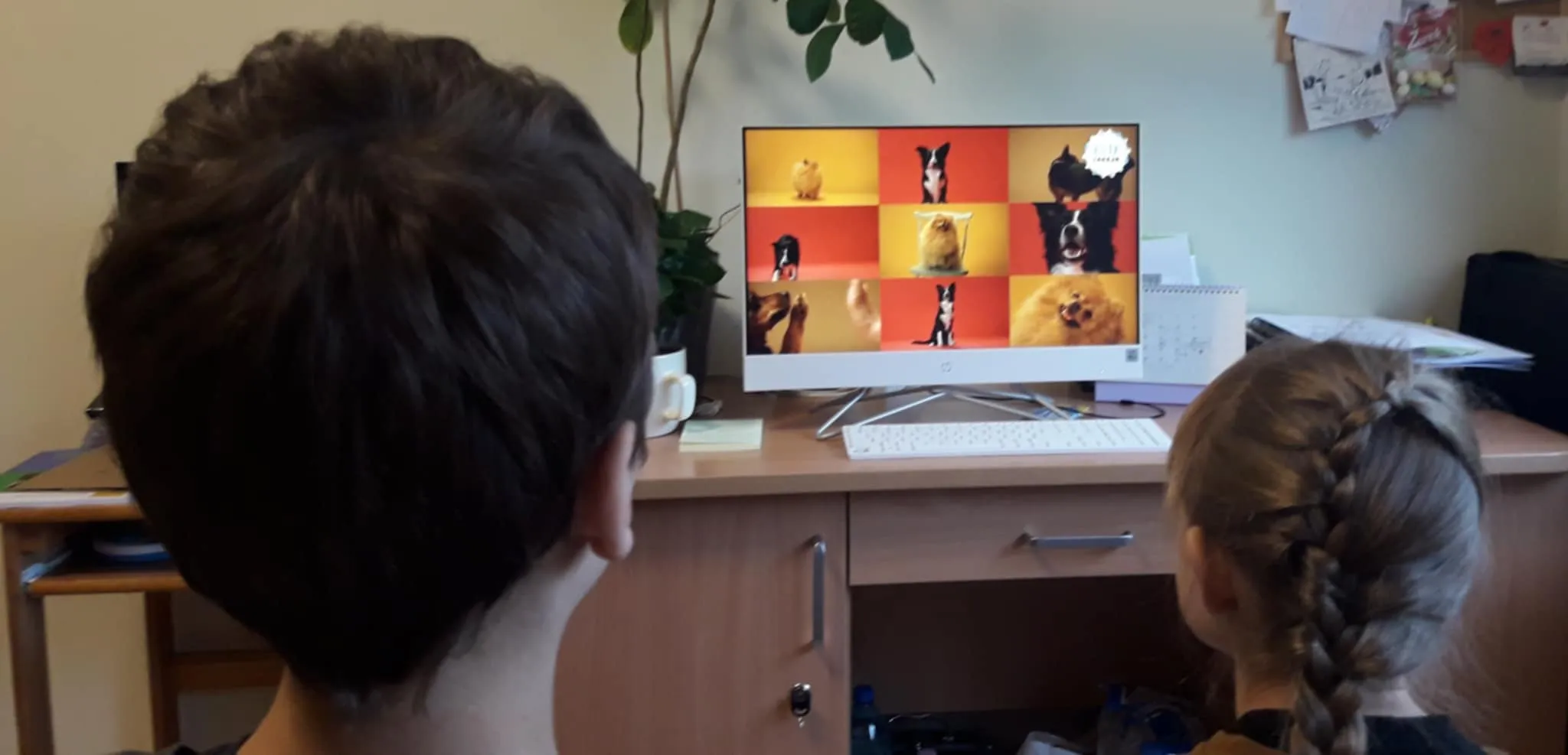 Ogólnopolski program “Psia lekcja”