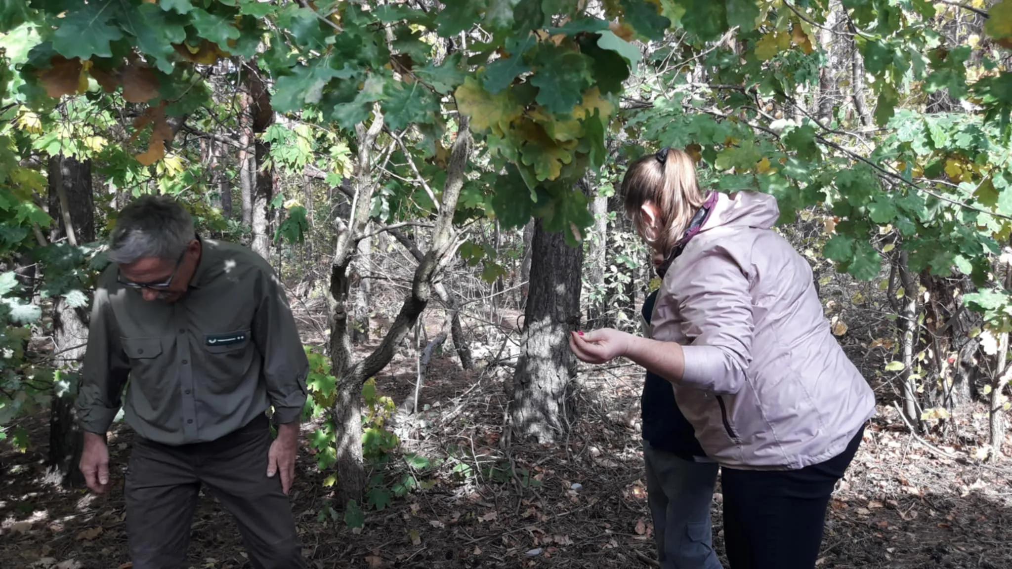 Światowy Dzień Drzewa