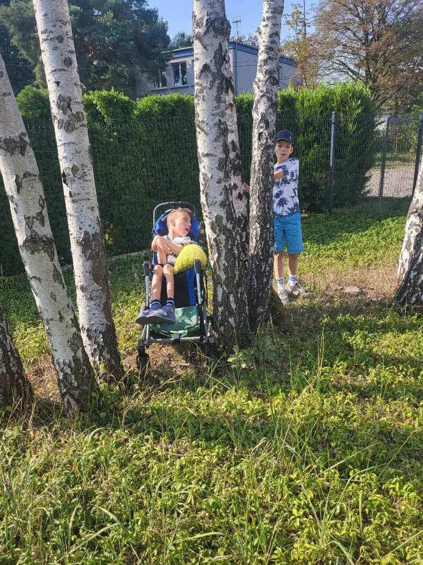 Przytul się do drzewa