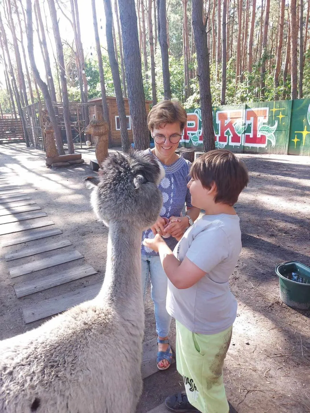 Spotkanie z alpakami