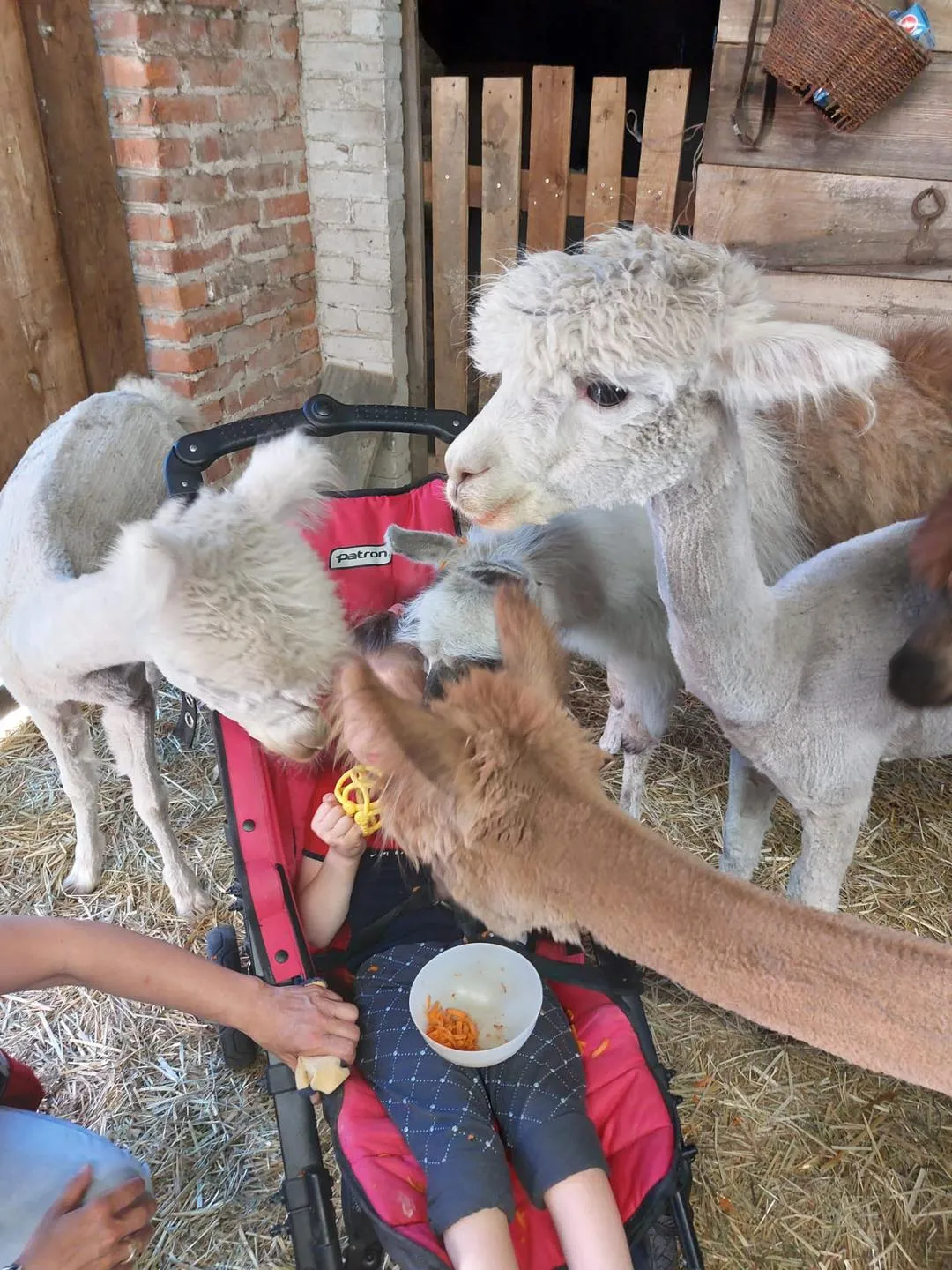 Wycieczka na Lubelszczyznę