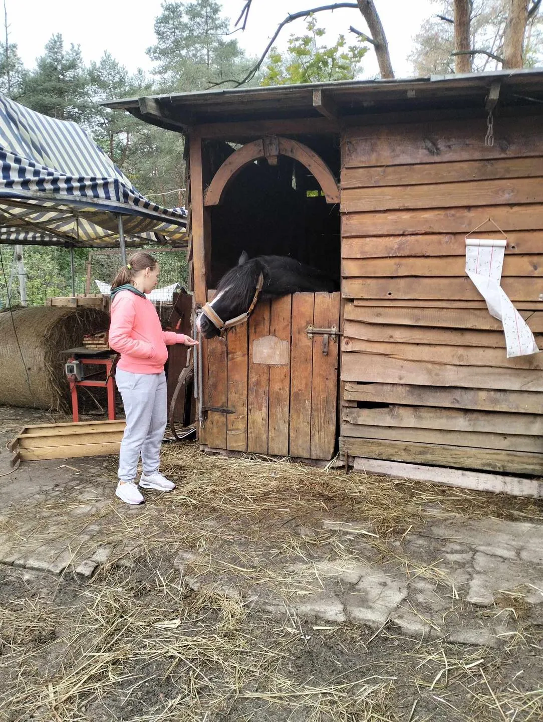 Wizyta w stajni Jackowo