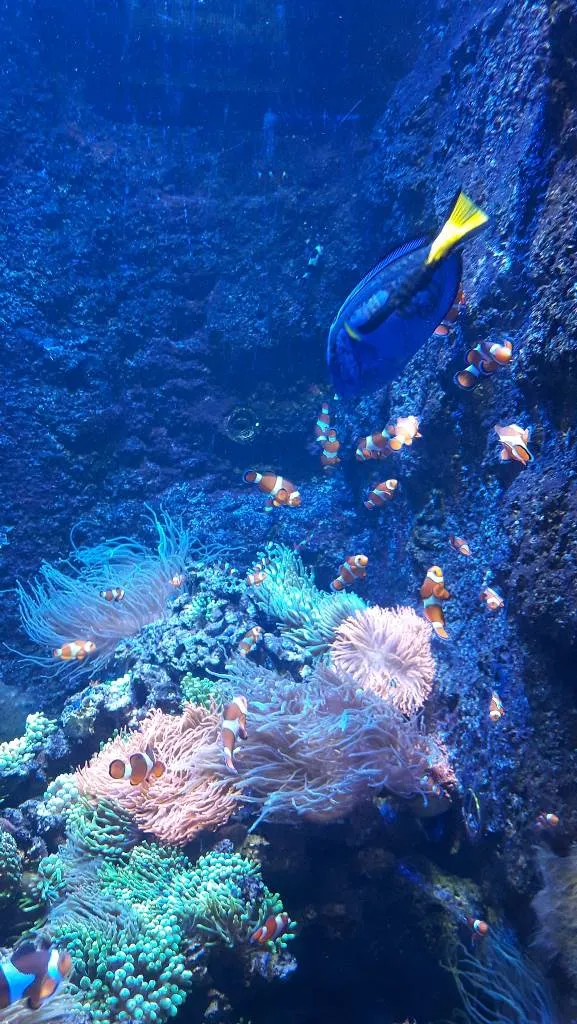 Wizyta w ogrodzie zoologicznym