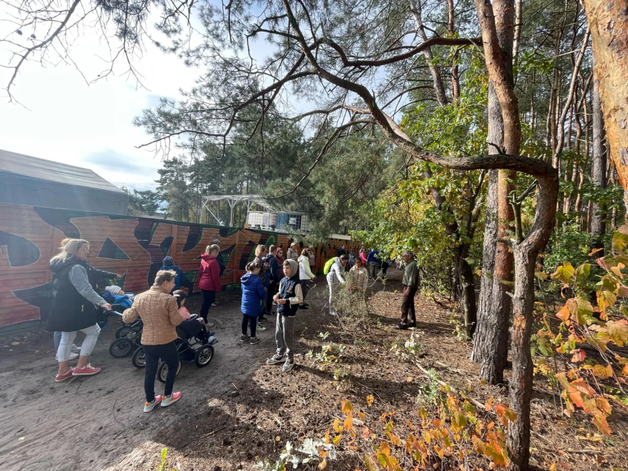 Światowy Dzień Drzewa