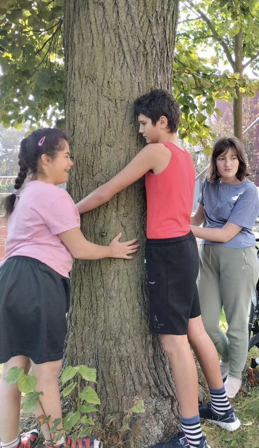 Przytul się do drzewa