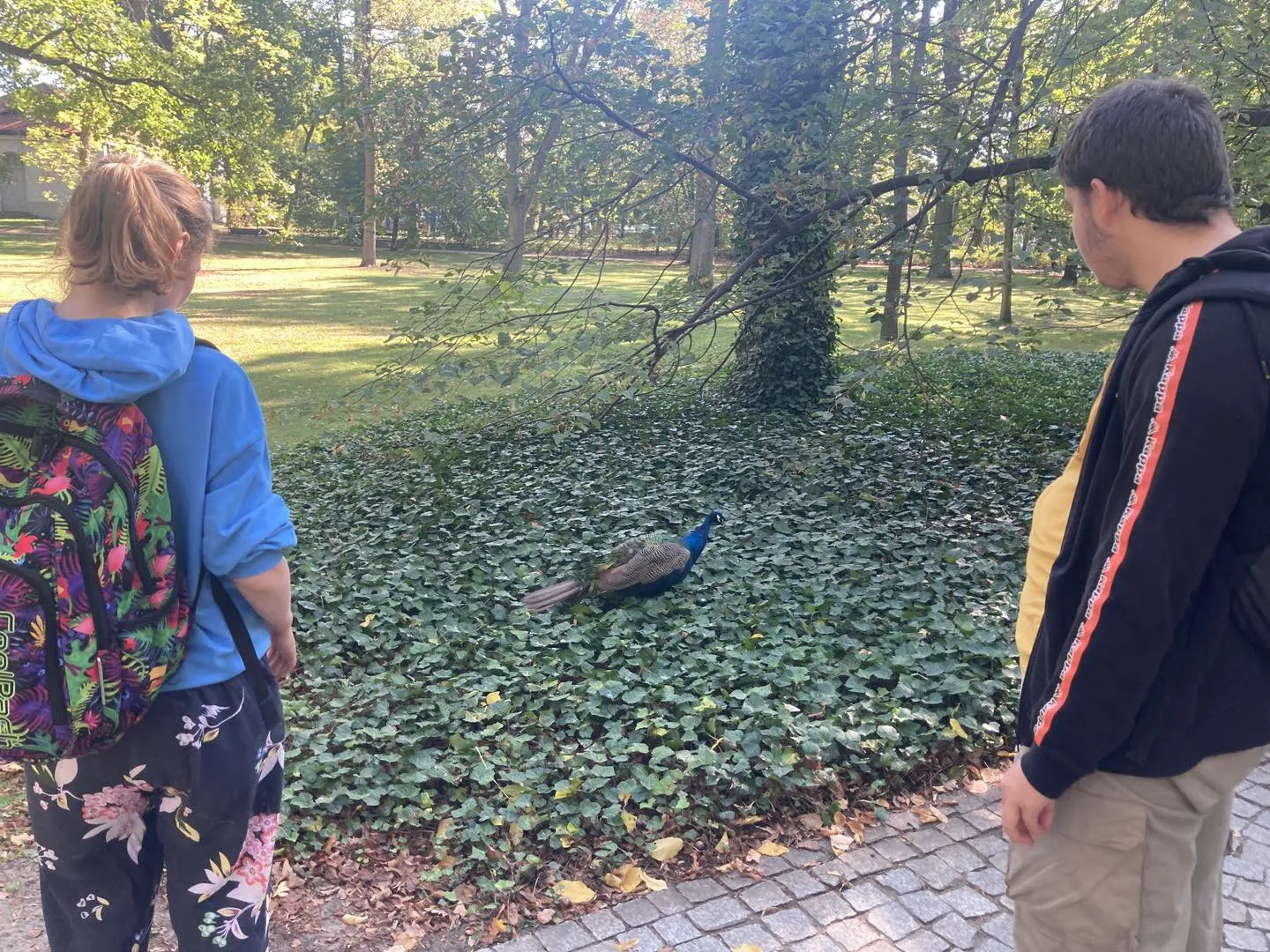 Lekcja “Przygoda z Grzybami”