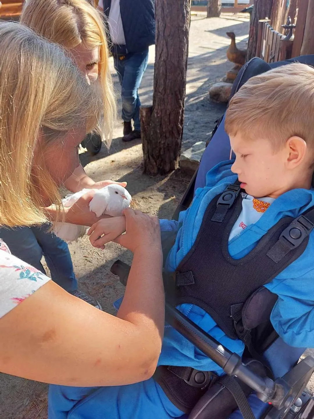 Spotkanie z alpakami