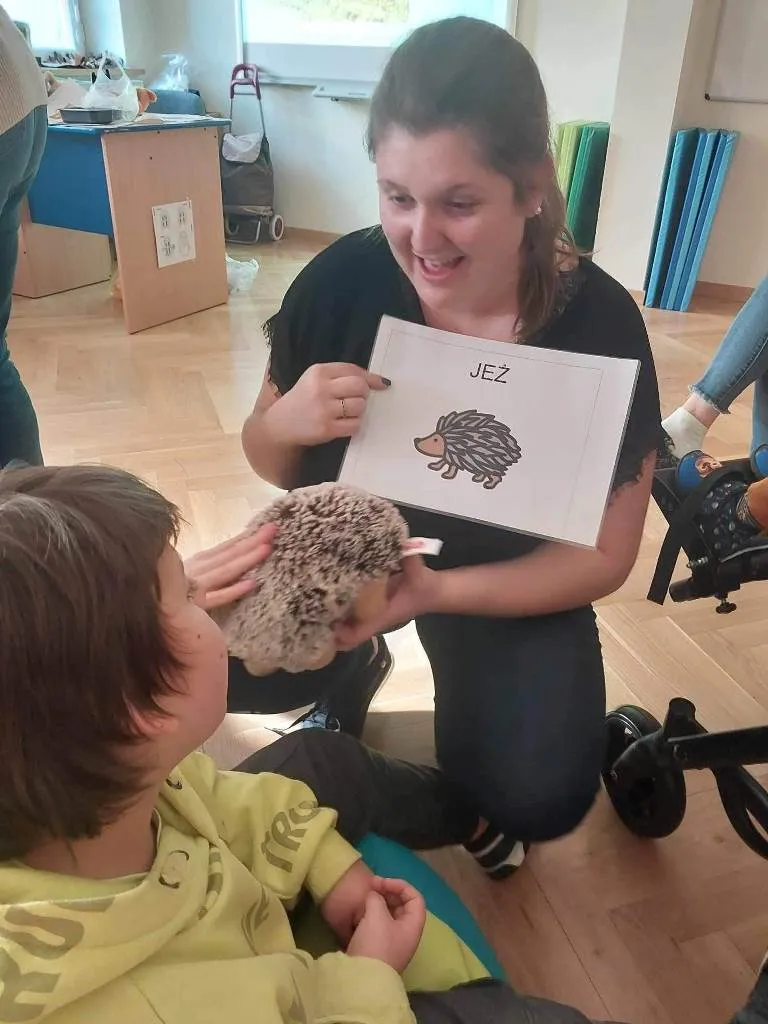 Lekcja o zwierzętach leśnych