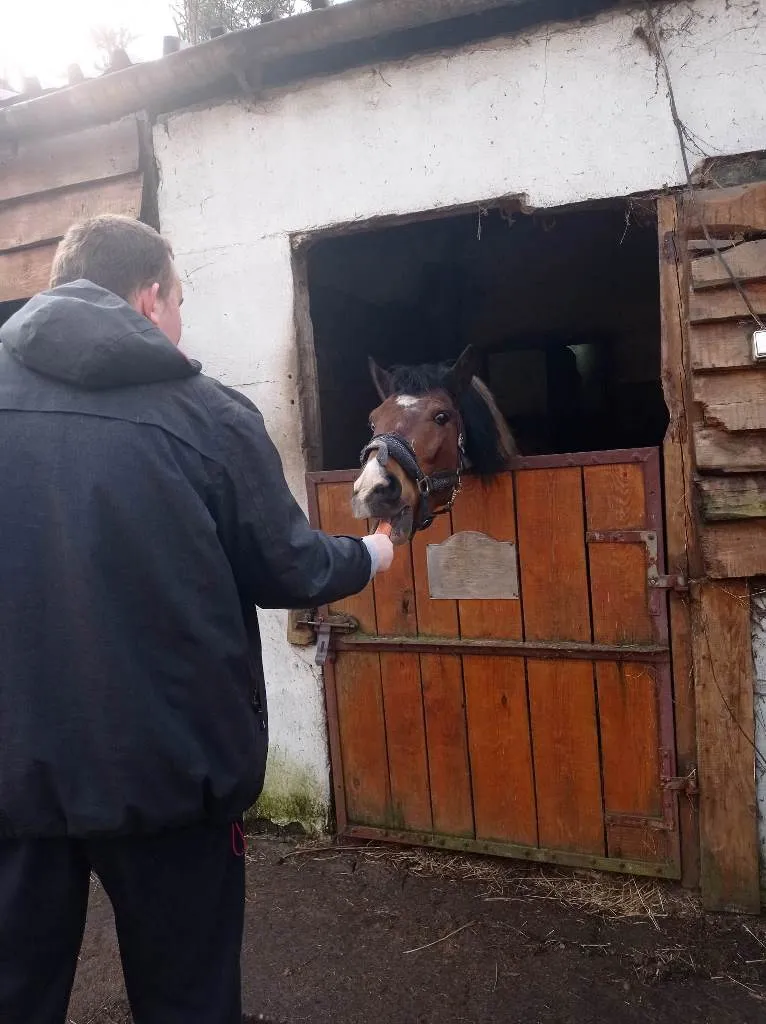Nasze relacje ze zwierzętami
