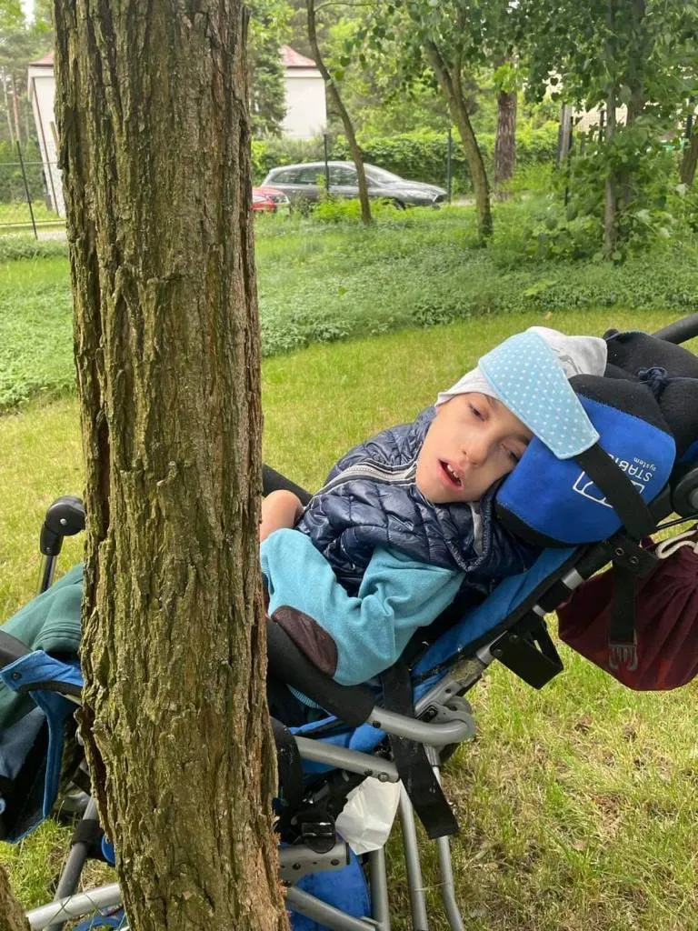 Akcja “Przytul się do drzewa” – kontynuacja