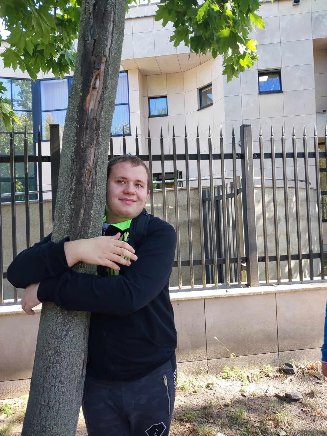 Przytul się do drzewa